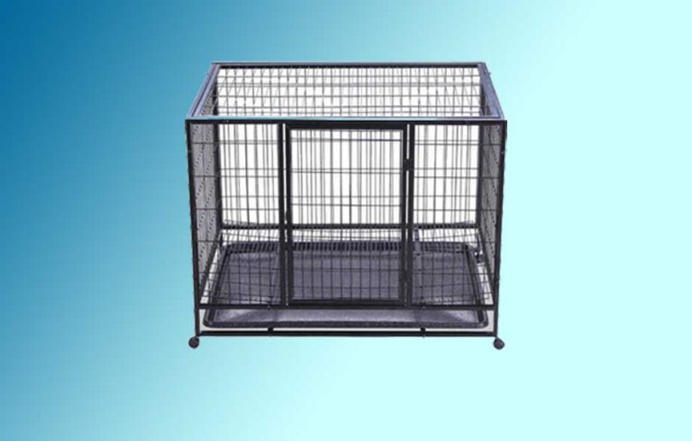 how-do-i-know-what-size-crate-to-get-for-my-dog