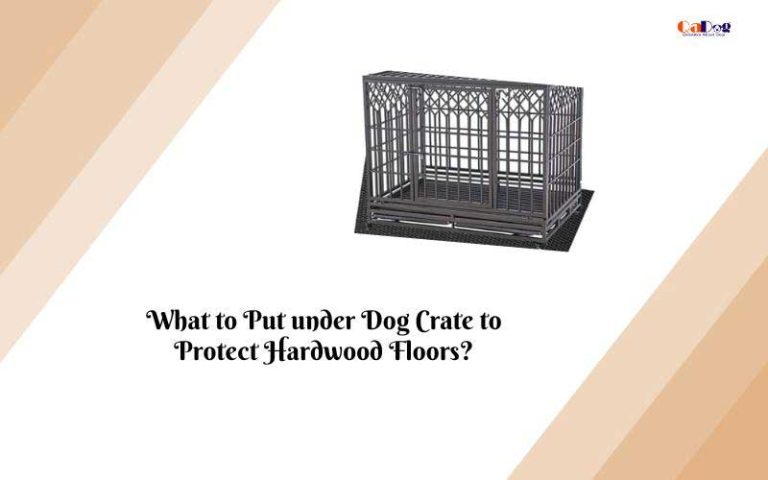 what-to-put-under-dog-crate-to-protect-hardwood-floors