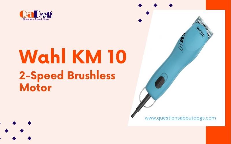 Why should I buy Wahl KM10 2-Speed Brushless Motor dog Clipper?